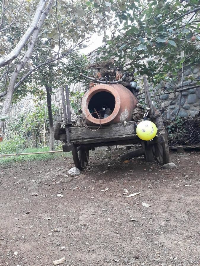 Гостевой дом In my georgian family Тбилиси-38