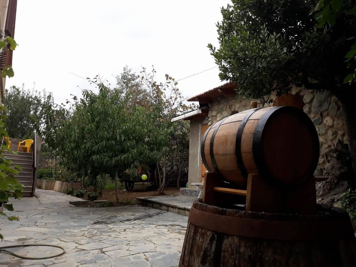 Гостевой дом In my georgian family Тбилиси-41